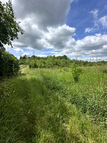 Миколаїв, Стрийський, Львівська область 120000 USD