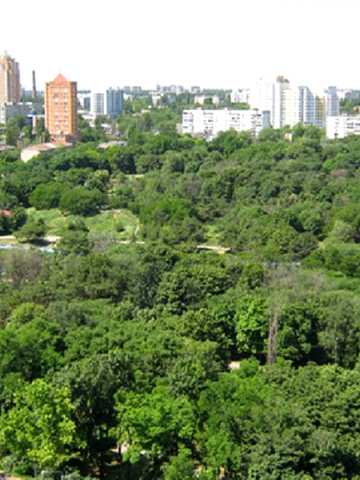 Шевченка просп., 33б