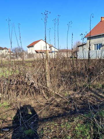 Леси Украинки, 48