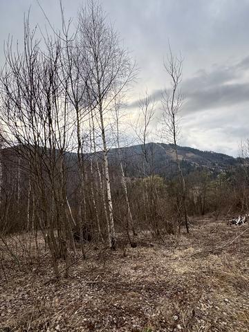 Славське, Стрийський, Львівська область 80000 USD