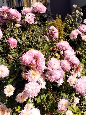 Одеська вул., 3