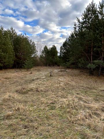 Новогородецьке, Житомирський, Житомирська область 65000 USD