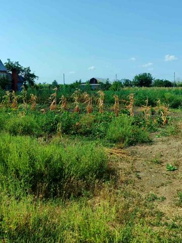 Яворницького, 20