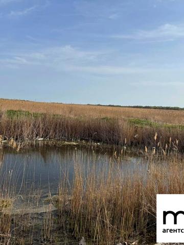 вул. Придністровська