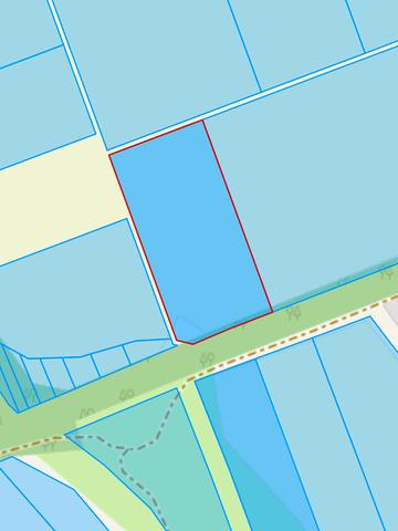 Великі Дмитровичі, Обухівський, Київська область 70000 USD