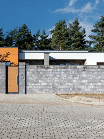 Ярослава Мудрого