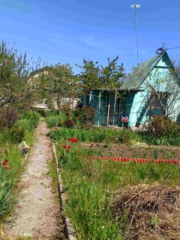 кооп Заря, 6