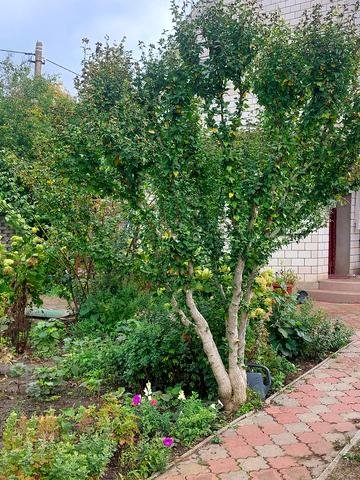 Приморська вул.