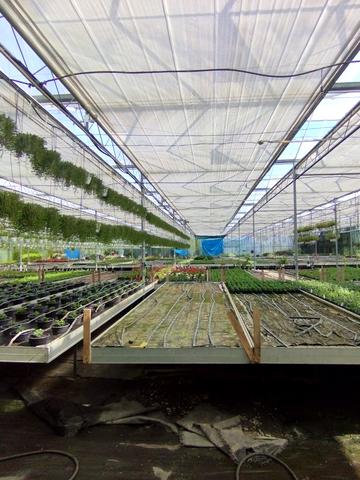 Патруса-Карпатського вул., 4