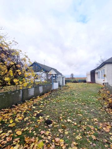 Центральна