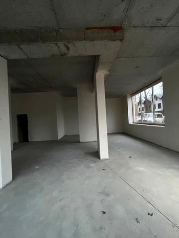 Василя Стуса вул. (Пушкінська), 64/68