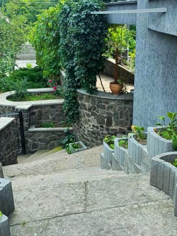 Різдвяна вул. (Леніна)