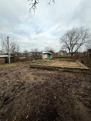 Івана Крипякевича