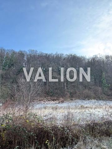 Виноградна