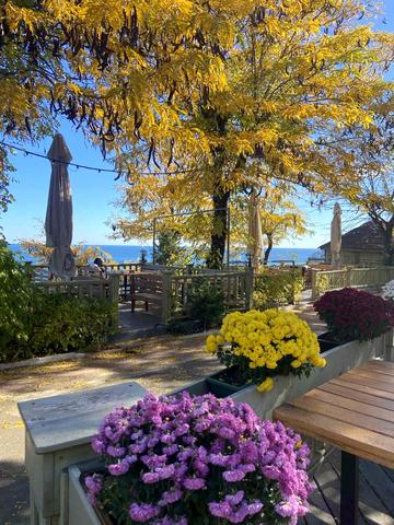 Аркадійське плато вул. (Гагаринське плато), 5а к2