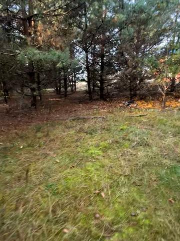 Малютянка, Фастівський, Київська область 34000 USD