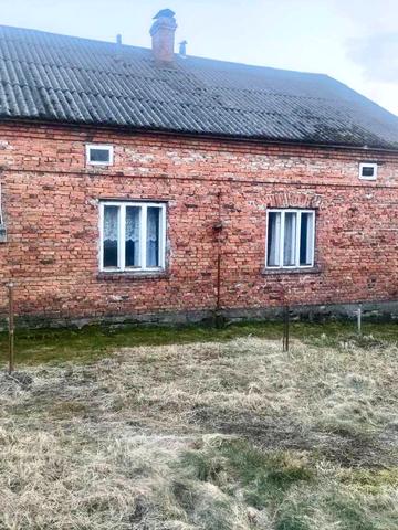 Заставська