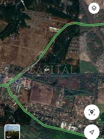 центральна