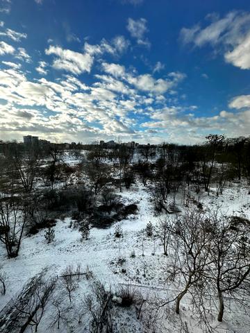 Південний бульв., 44