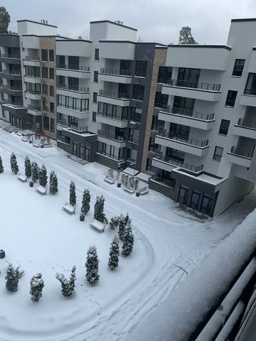 Квітки Цісик вул. (Гамарника), 32