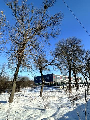 Зелена вул.