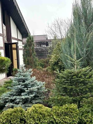 Криченкіна