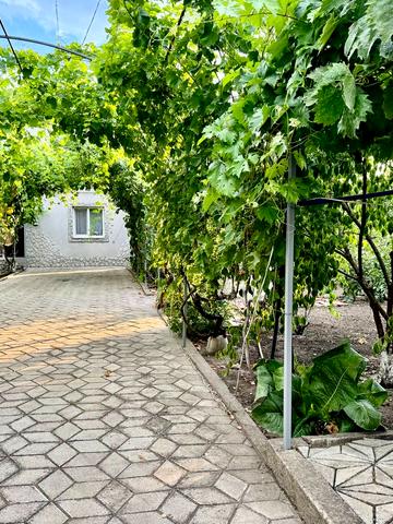 центральная