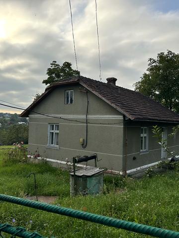 Зелена, 20