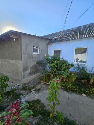 Софиевская, 146