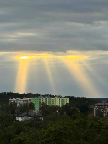 Павленка вул., 56