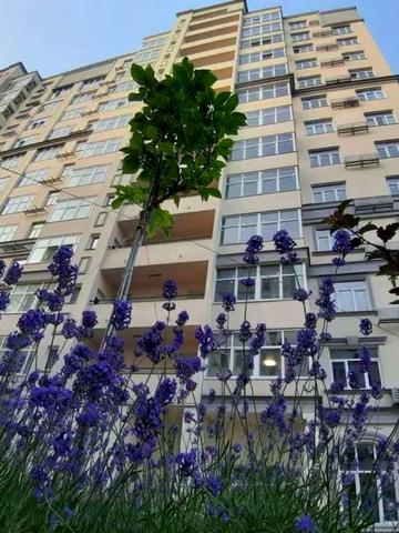 Краківська вул., 4-Б