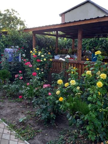 Центральна, 123