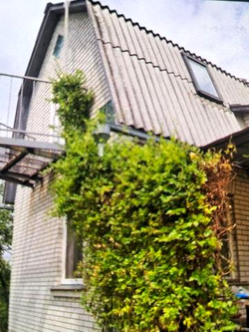 Незалежності