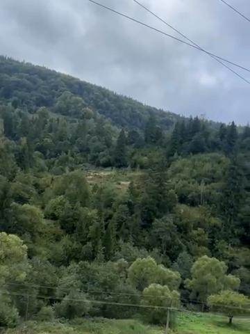 Миколи Устияновича вул.