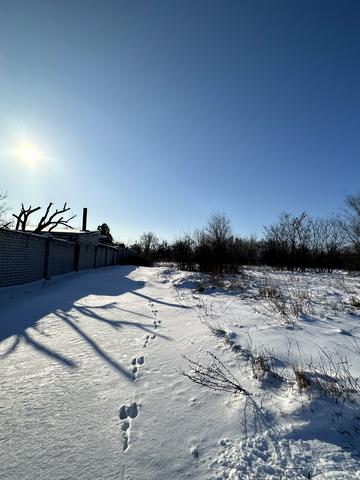 Звитяжна, 16