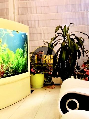 Левандовська вул. (Аніщенка), 5