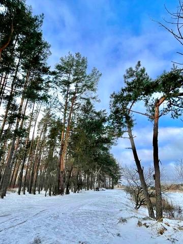 Нове Залісся, Бучанський, Київська область 22000 USD