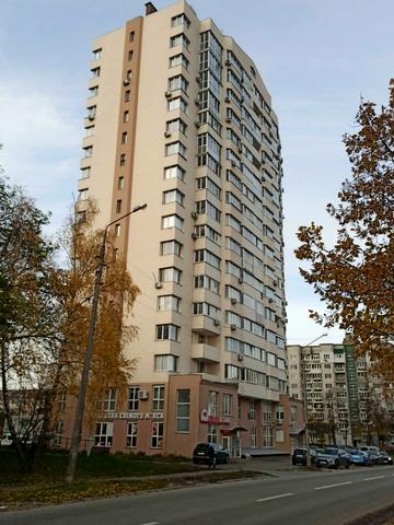 Вячеслава Чорновола вул. (Войкова), 15а