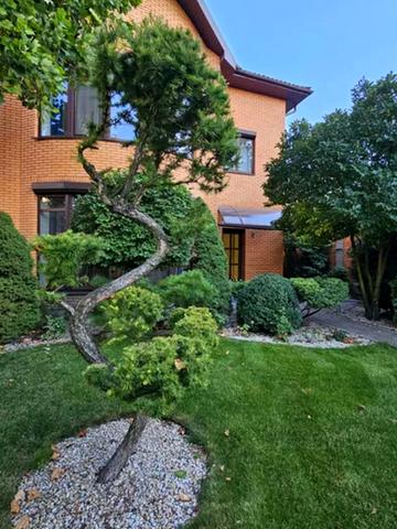 Динамо вул.