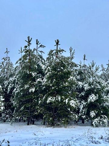 Мотижин, Бучанський, Київська область 105000 USD