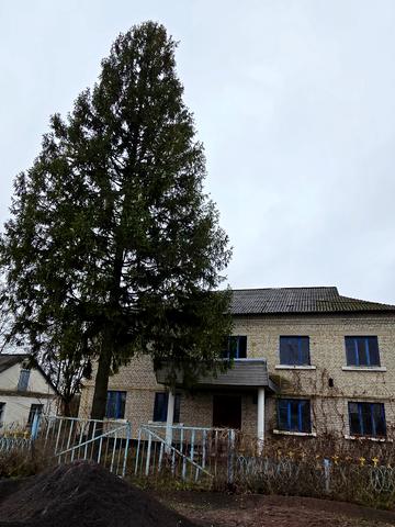 Тараса Шевченка вул., 42