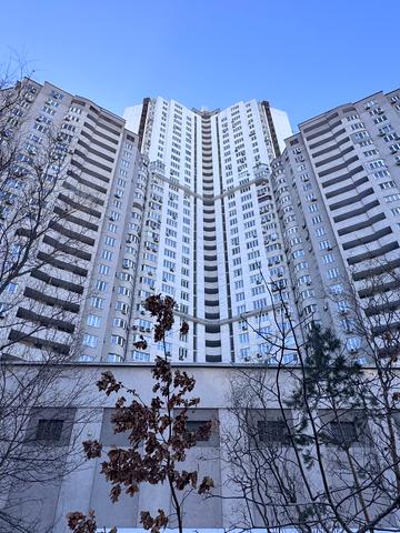 Княжий Затон вул., 21