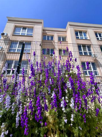 Шкільна вул., 10