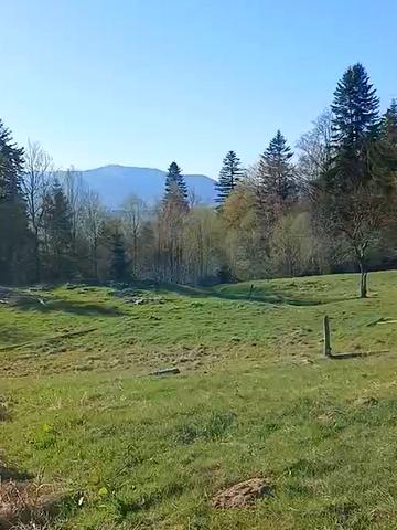 Лазещина, Рахівський, Закарпатська область 130000 USD