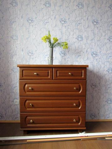 Лісогринівецька вул., 4/1