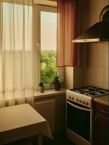 Олега Мудрака вул. (Генерала Наумова), 25