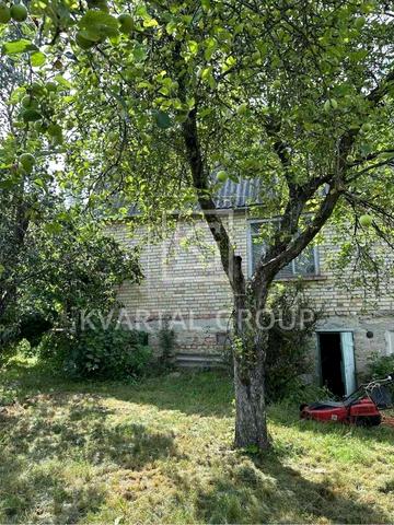 Виноградна