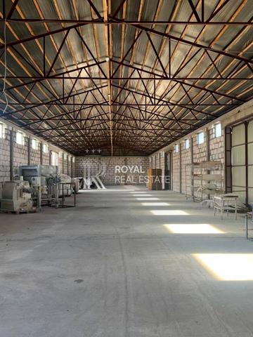 Лебедина, 31