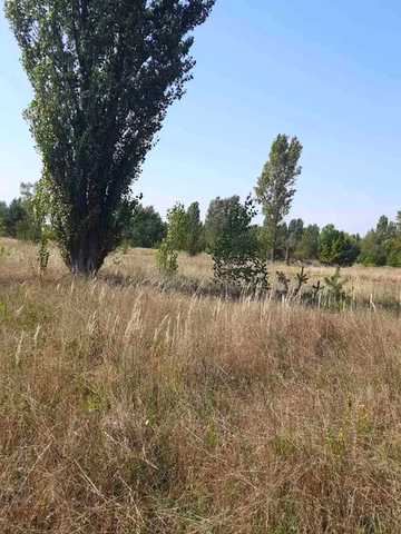 Хотянівка, Вишгородський, Київська область 12500 USD