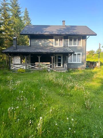 незалежності, 5